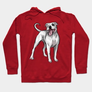 Cute White Staffordshire Bull Terrier Dog Hoodie